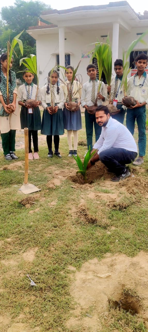 Tree plantation drive by students